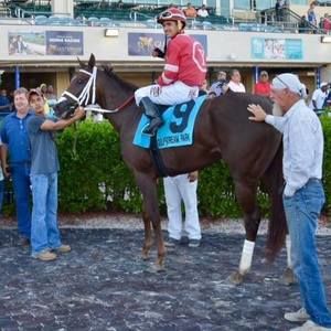 Meet your Posher, Pam